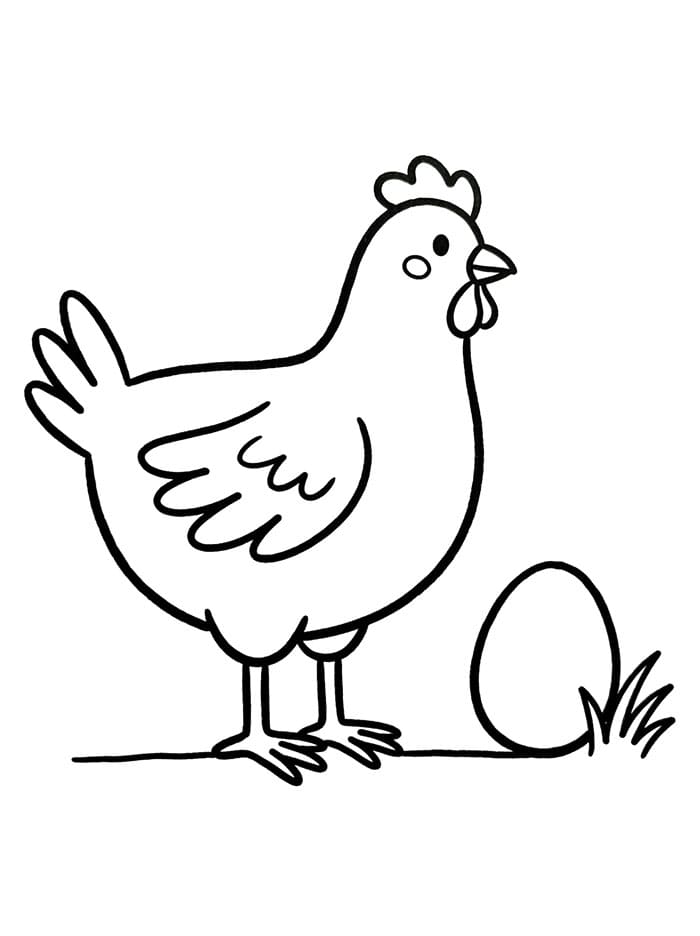 Ayam Betina Berdiri