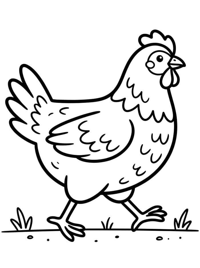 Ayam Betina Berjalan