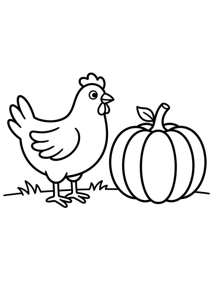 Ayam Betina dan Labu