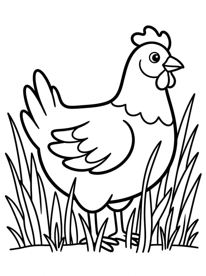 Ayam Betina di Rumput Tinggi
