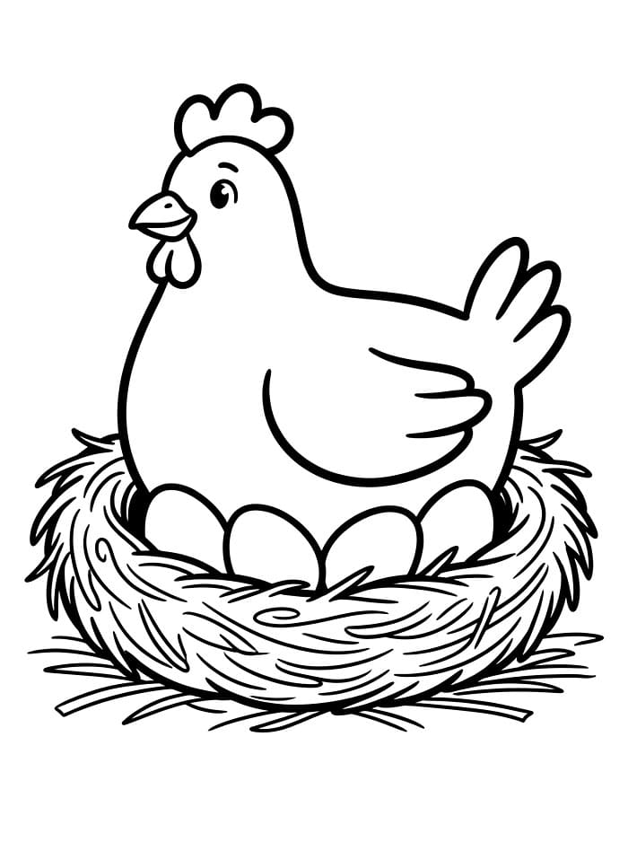 Ayam Betina di Sarang