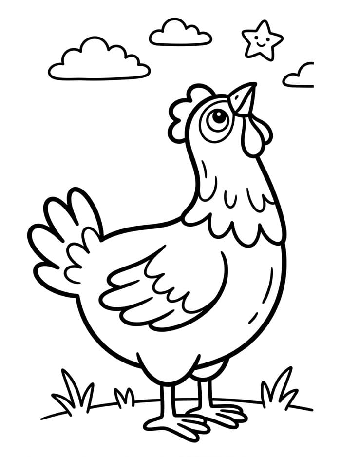 Ayam Betina Melihat ke Atas