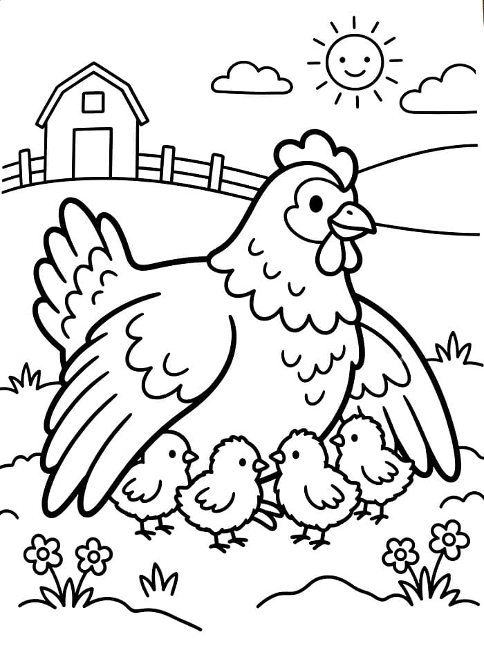 Ayam Betina Melindungi Anak Ayam