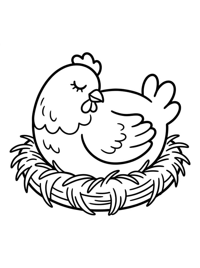 Ayam Betina Tidur