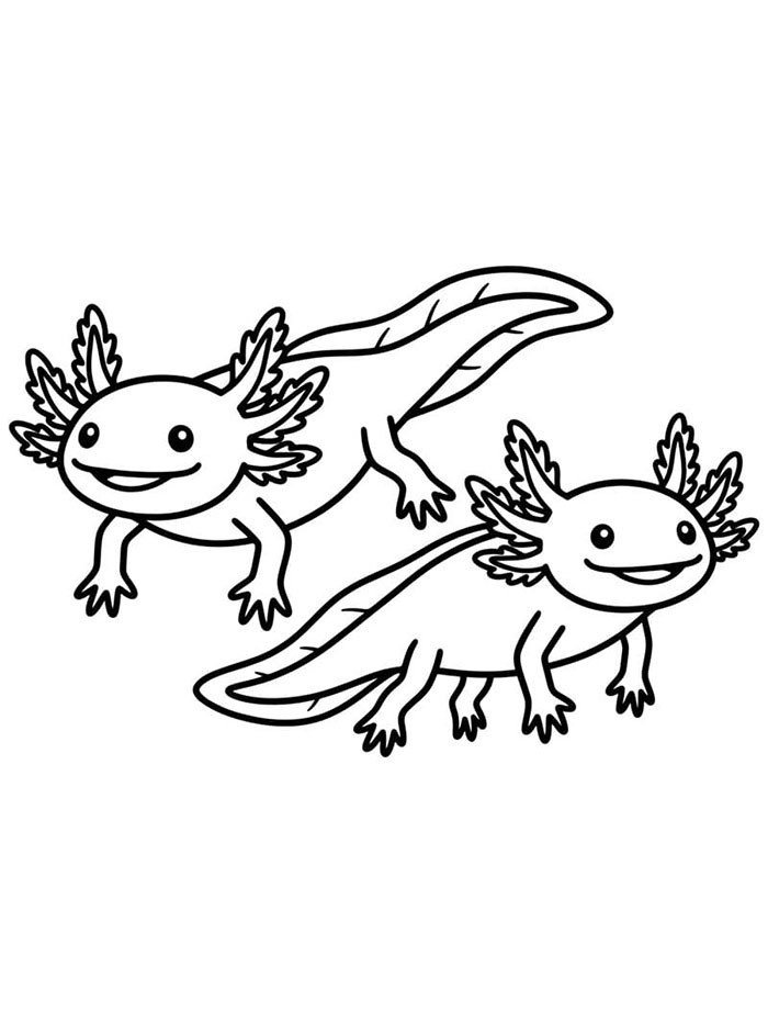 Dua axolotl sederhana