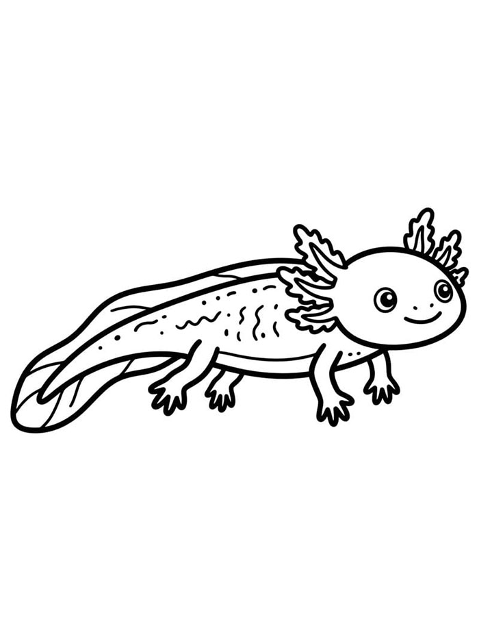 Gambar gratis axolotl