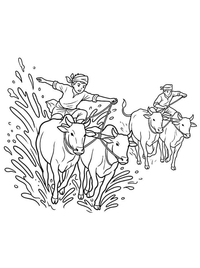 Menyalip di Pacu Jawi