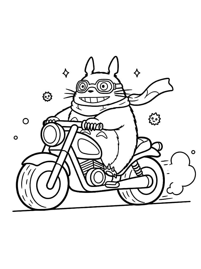 Pengendara Totoro