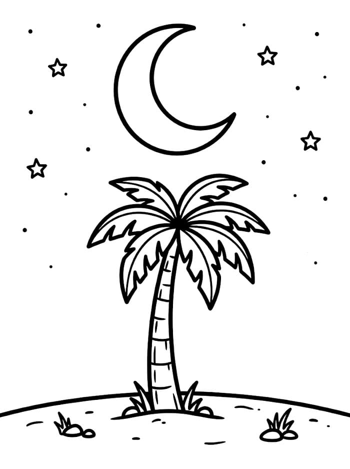 Pohon Palem dan Bulan