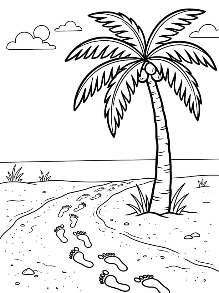 Pohon Palem dan Jejak Kaki