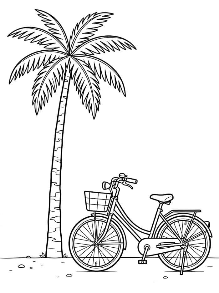 Pohon Palem dan Sepeda