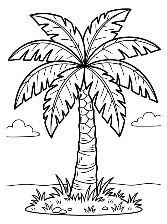 Pohon Palem dengan Rumput