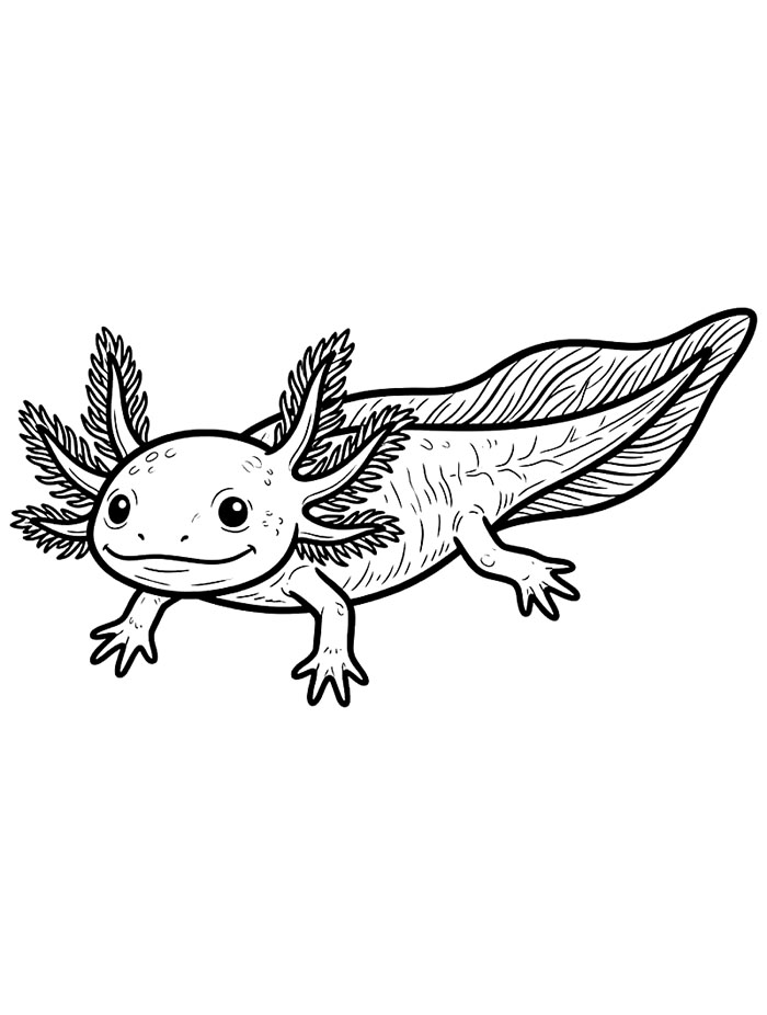 Siluet axolotl