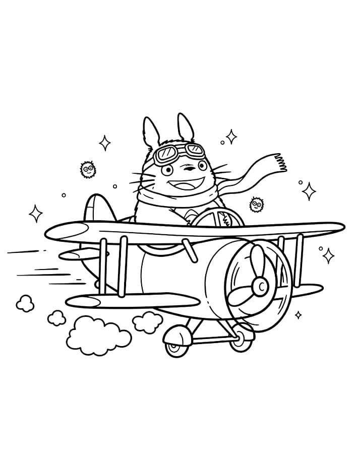 Totoro di pesawat