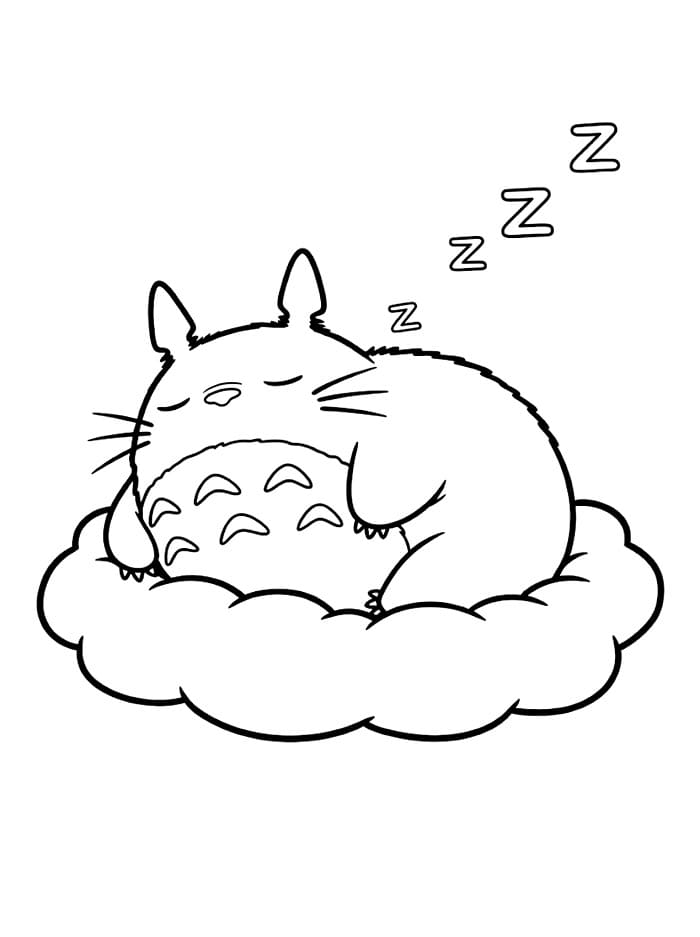 Totoro tidur