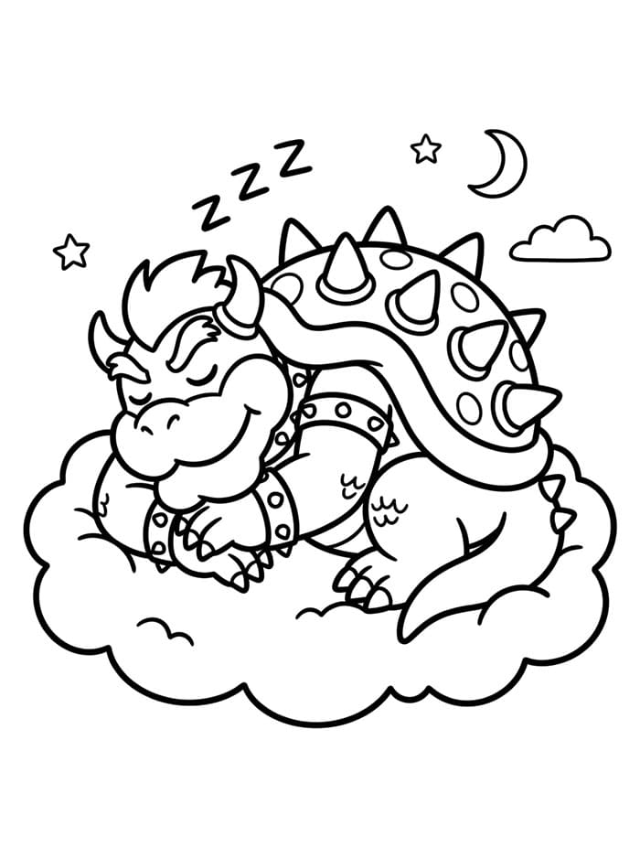 Bowser Tidur