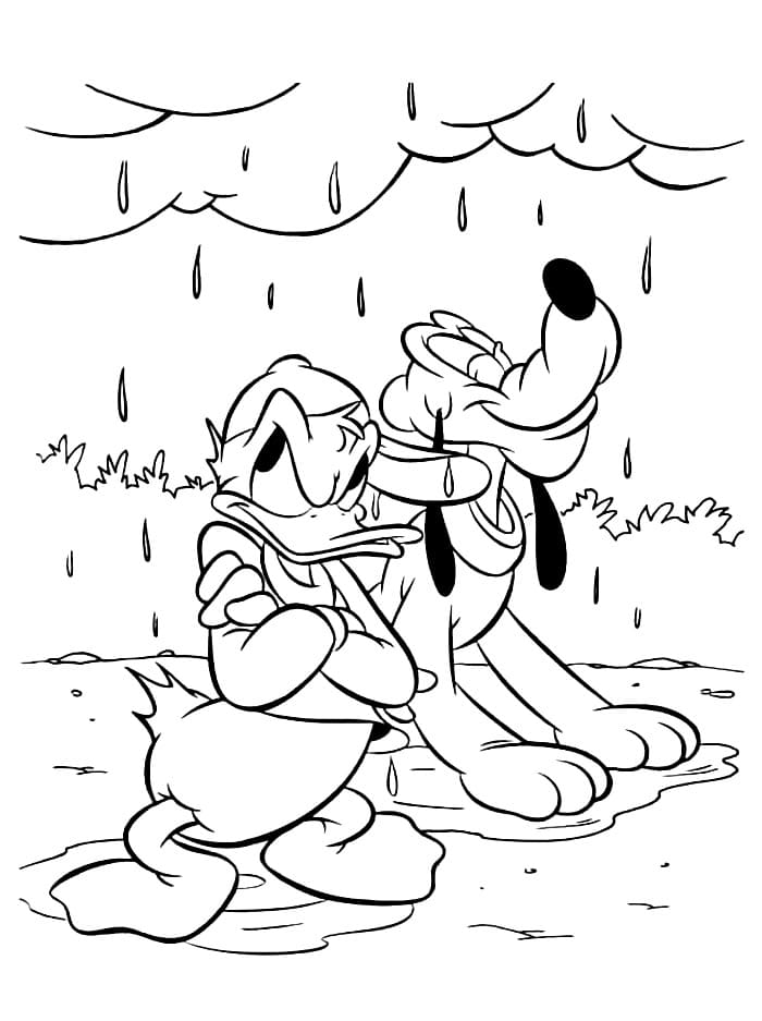 Donald Duck dan Pluto
