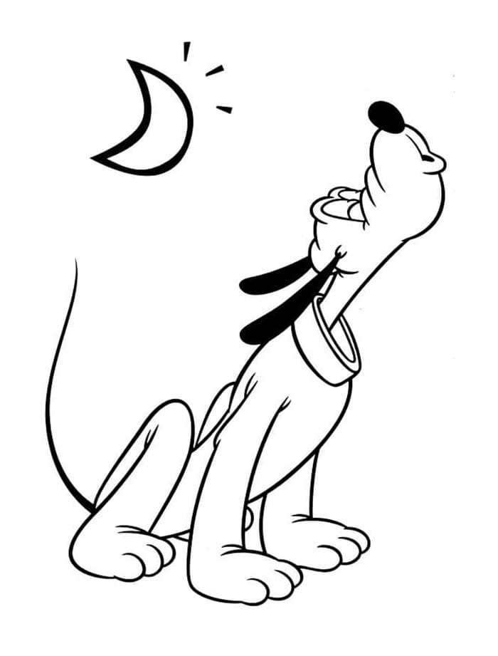 Pluto Melolong