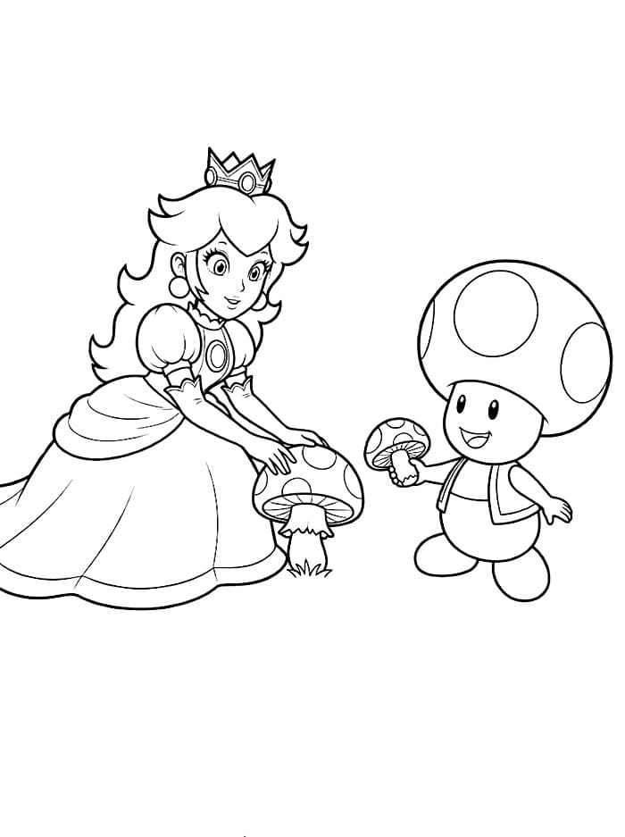 Putri Peach dan Toad