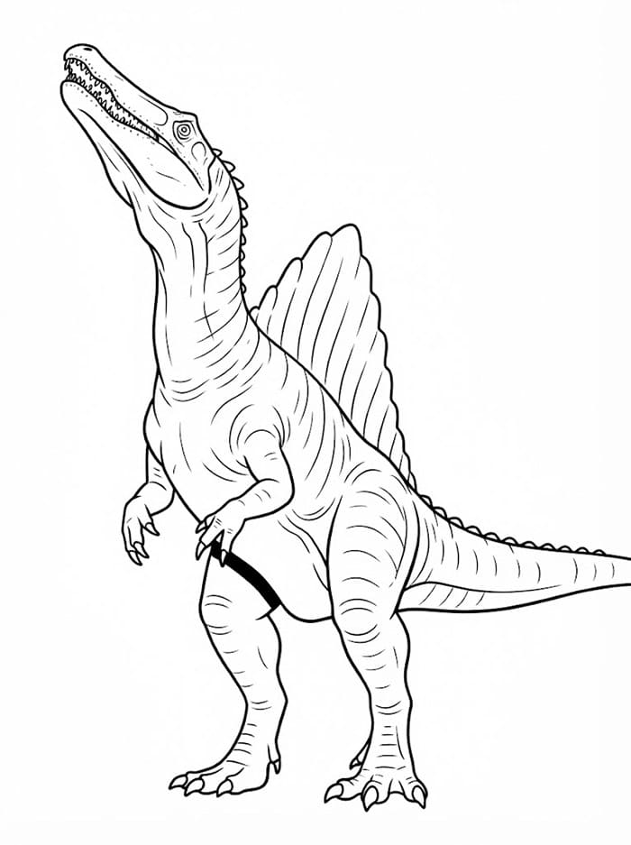 Spinosaurus mengangkat kepalanya