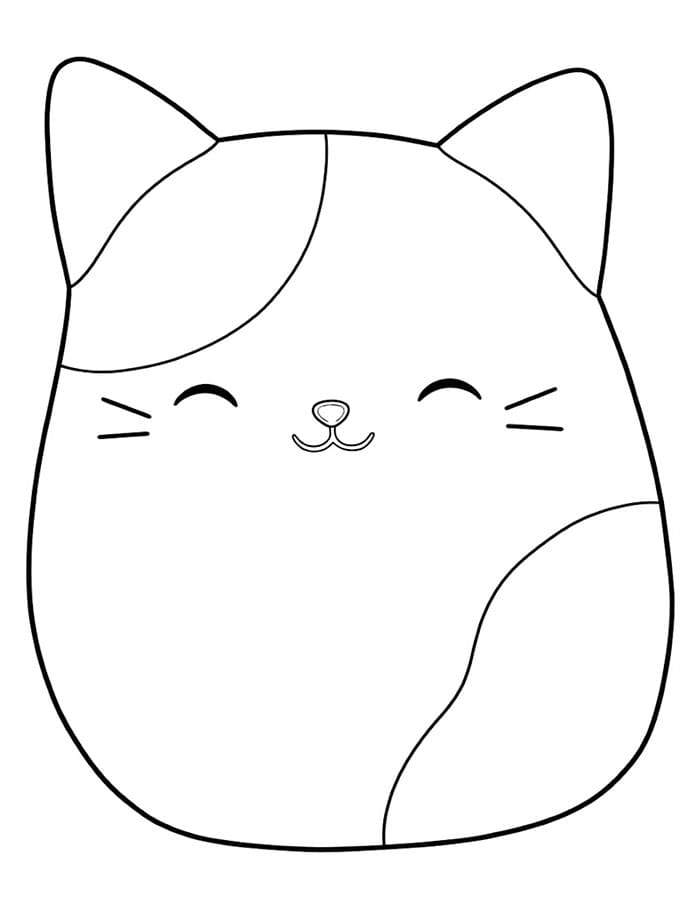 Squishmallows Cam