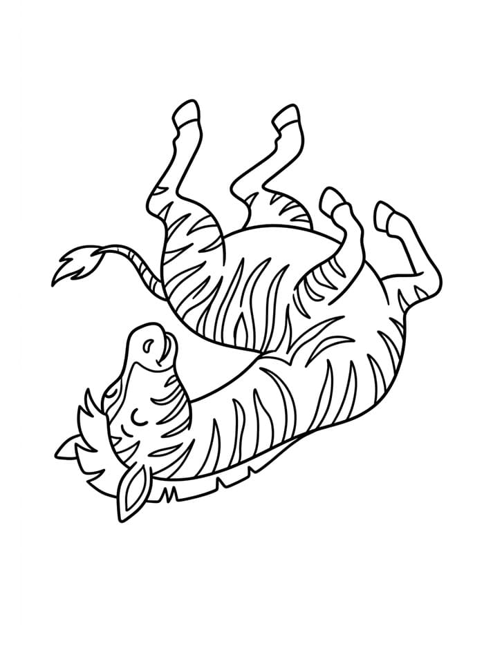 Zebra berguling