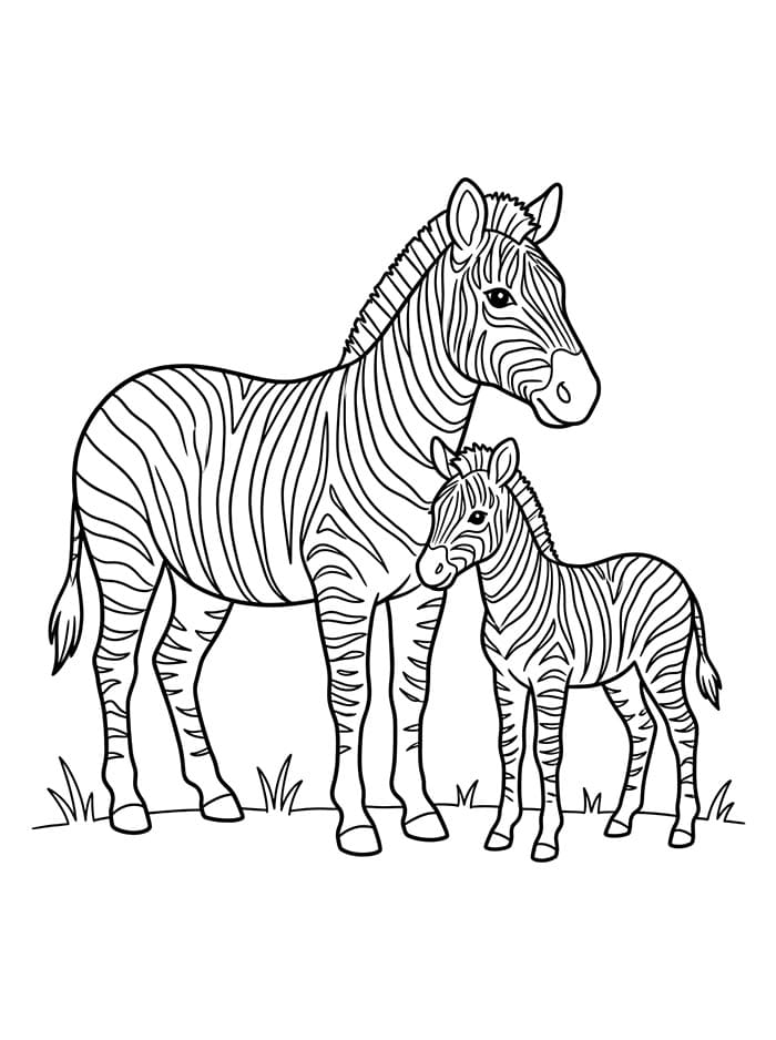 Zebra dan bayinya