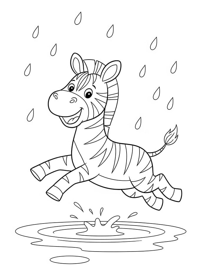 Zebra dan hujan