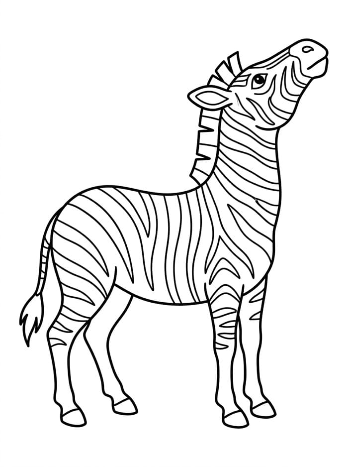Zebra melihat ke atas