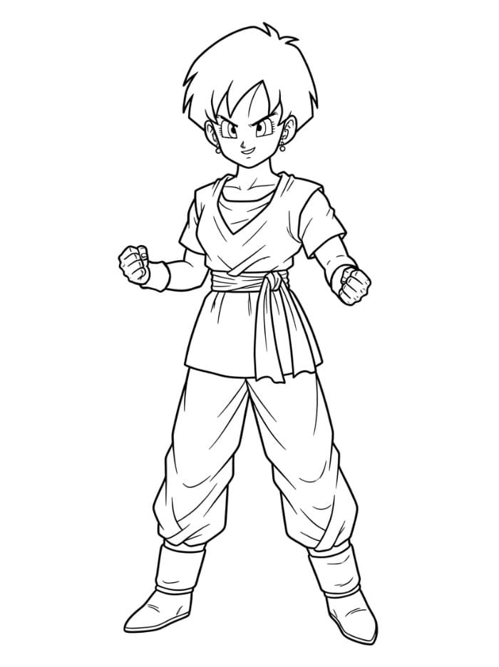 Dragon Ball Z Videl