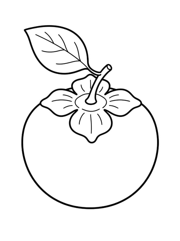 Kesemek dan Daun