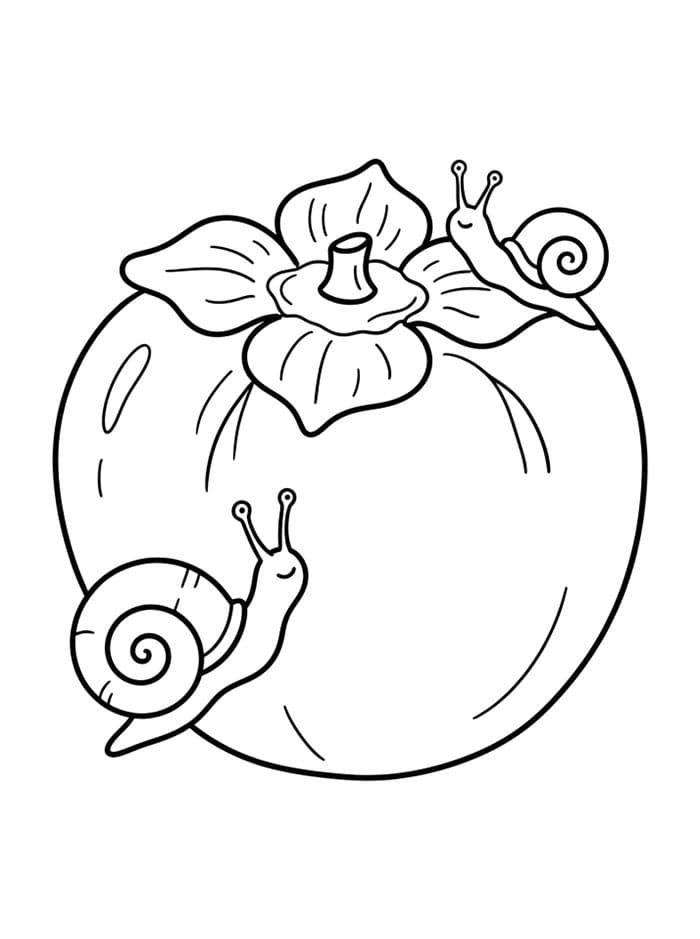 Kesemek dengan Siput