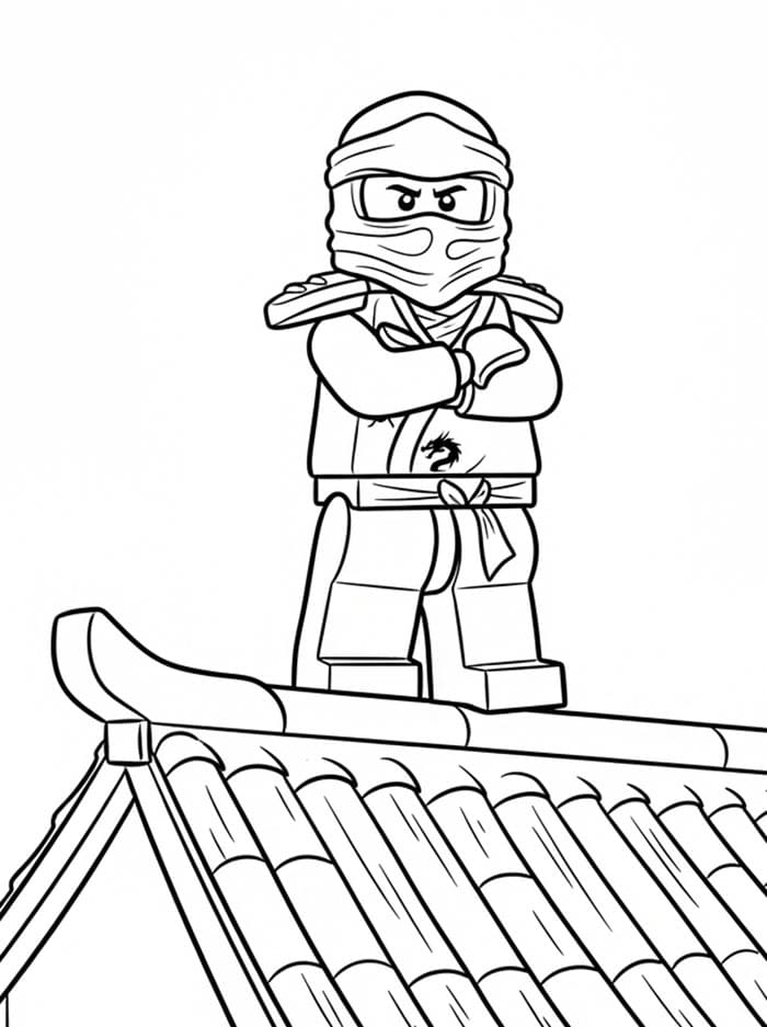 Ninjago di Atap