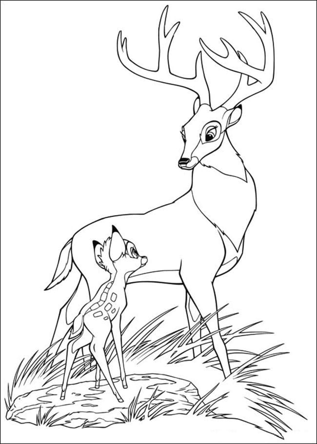 Pangeran Agung dan Bambi