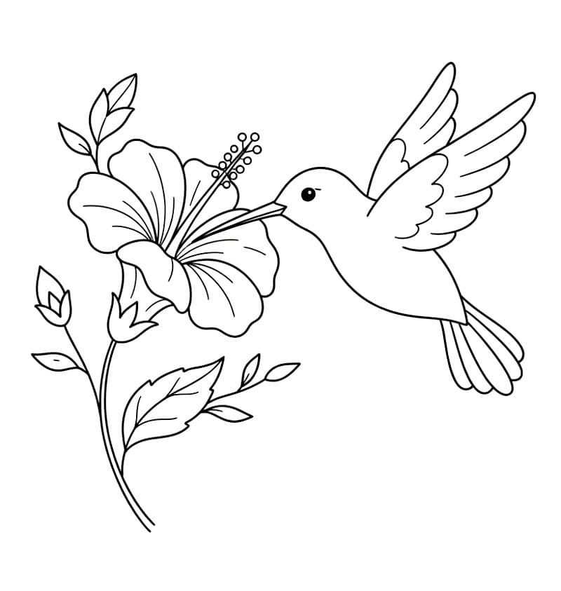 Burung Kolibri dengan bunga