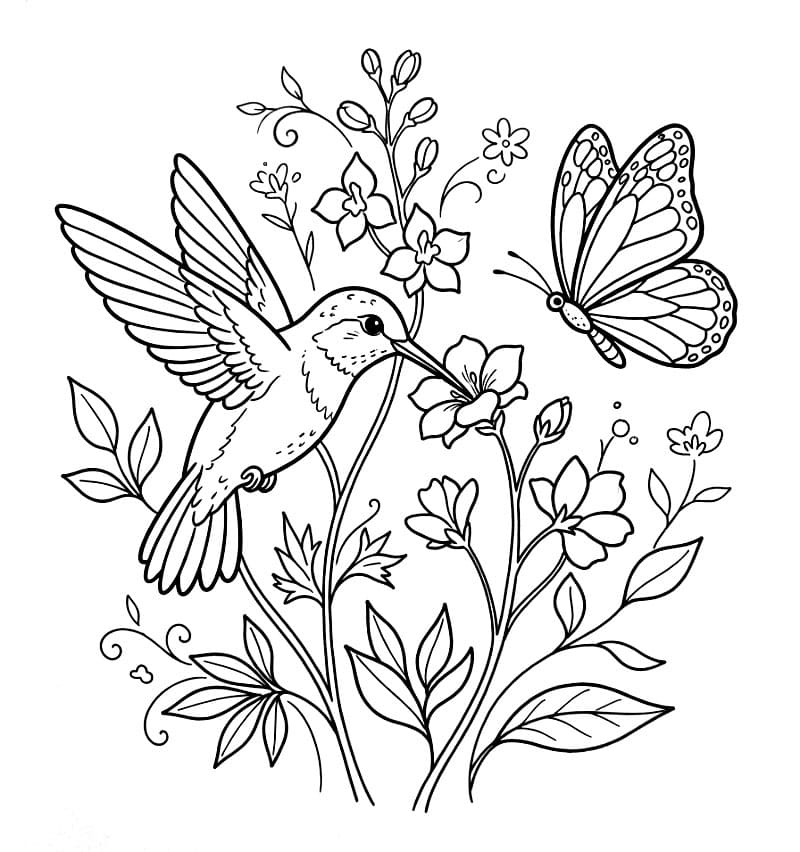 Burung Kolibri dengan kupu-kupu