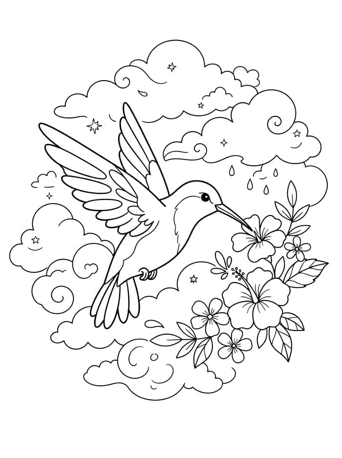 Burung Kolibri di antara awan