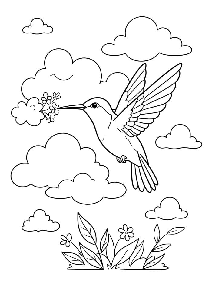 Burung Kolibri di langit