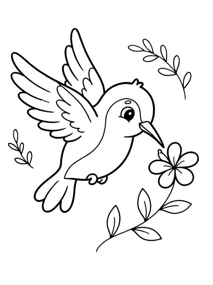 Burung Kolibri Kecil