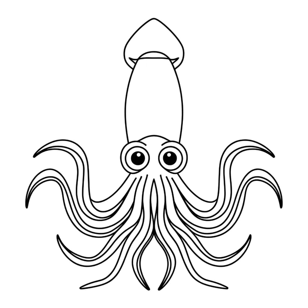 Cumi-cumi halus