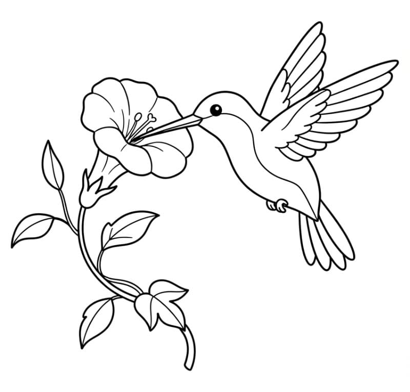Gambar burung kolibri di samping bunga