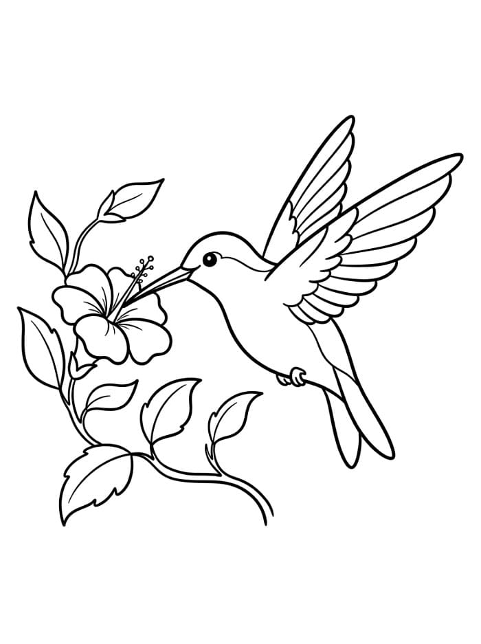Gambar burung kolibri terbang