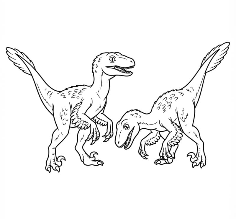 Gambar Dua Velociraptor
