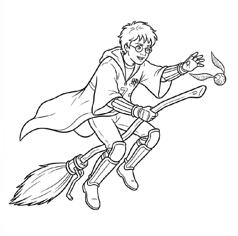 Harry Potter bermain Quidditch