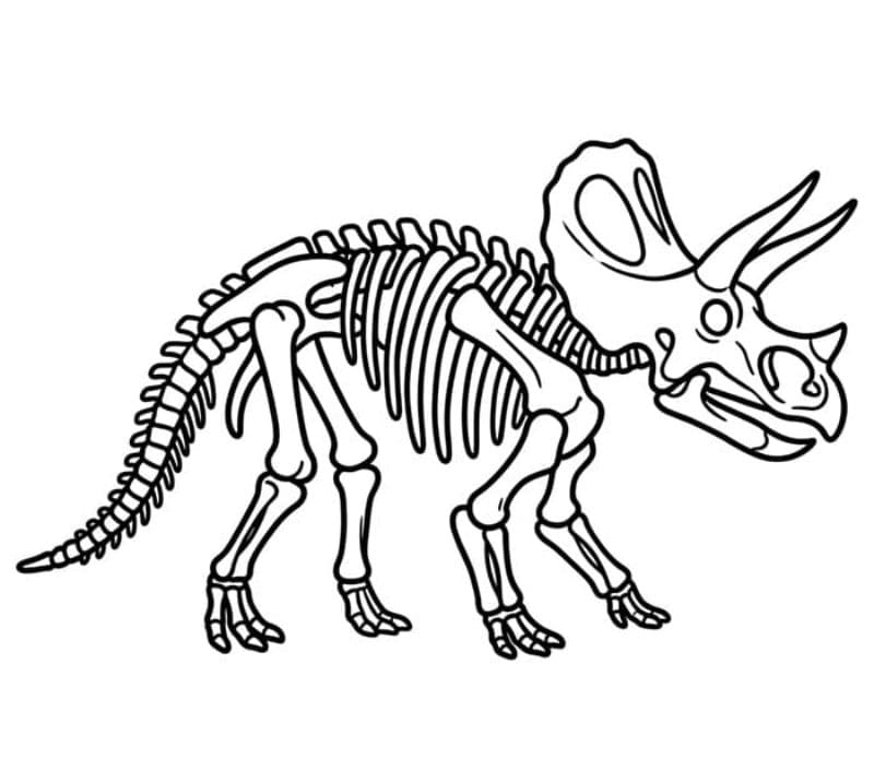 Kerangka Triceratops