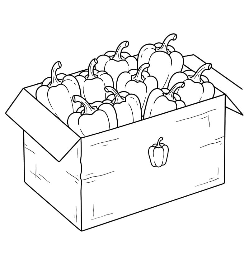 Kotak paprika