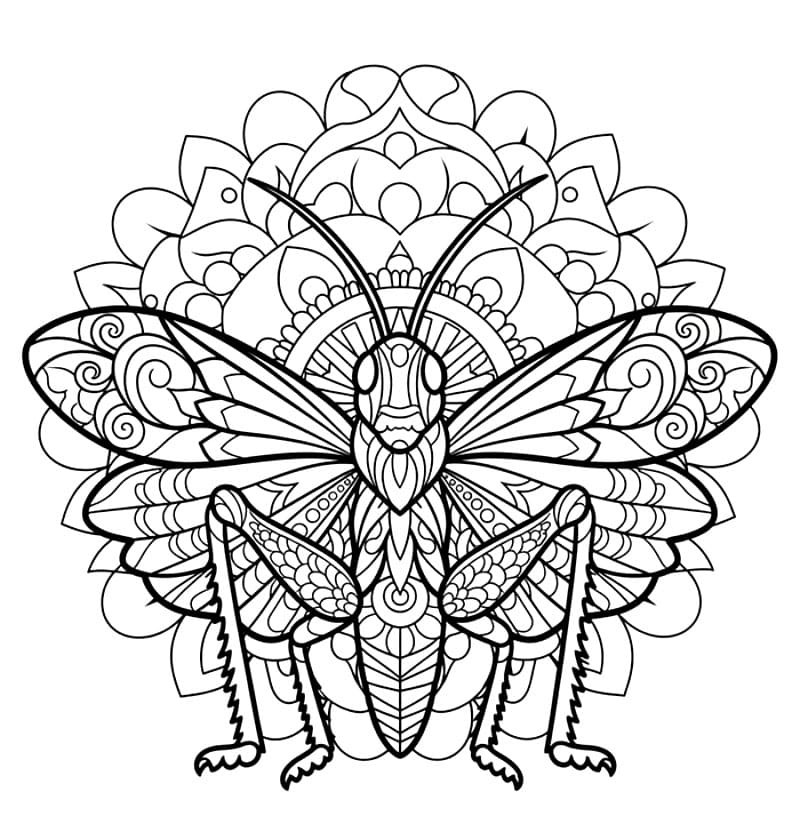 Mandala Belalang