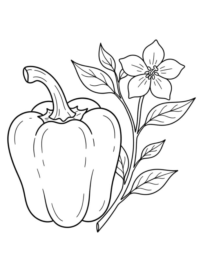 Paprika dan bunga