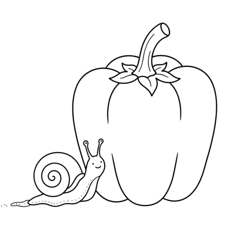 Paprika dan siput