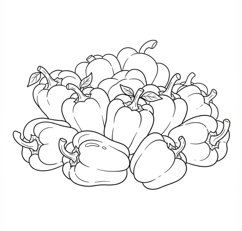 Paprika dengan susunan dasar